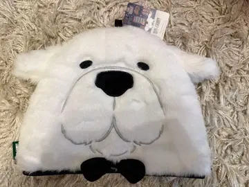 SPY x FAMILY 본드 티 코지 afternoon tea 콜라보