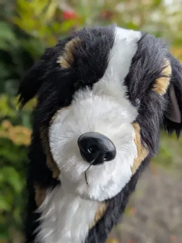 골프클럽용 골프헤드커버 [바니스마운틴도그]