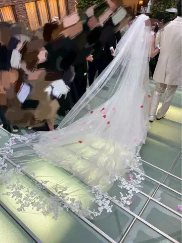 웨딩 베일