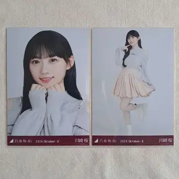 노기자카46 카와사키 벚꽃 브로마이드