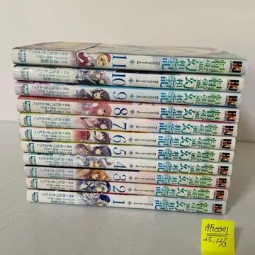 정령환상기 1~11권 11책 세트 미나즈키 후타고 / 키타야마 유리