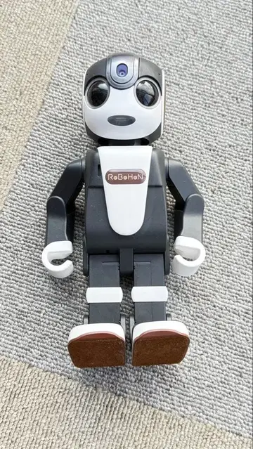 로보혼 세트 충전 독 의상 포함