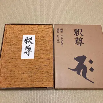 석존 히로사치야 카와카미 코이치