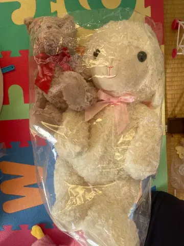 토끼와 곰 봉제 인형 세트