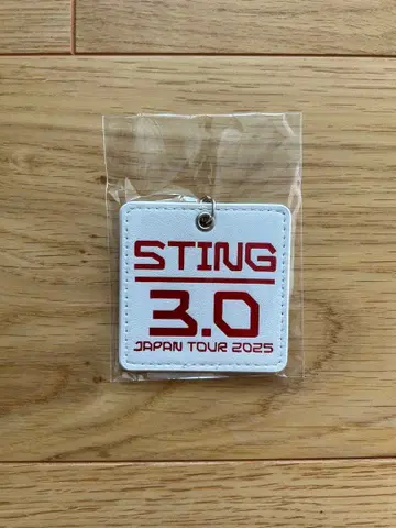 스팅 STING 3.0 JAPAN TOUR 2025 키링