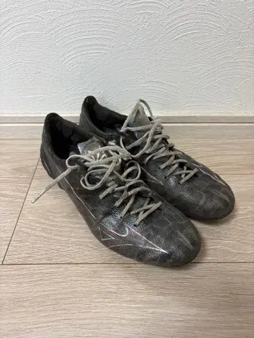 미즈노 알파 재팬 26.5