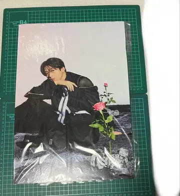 FANTASTIC 사와모토 나츠키 패널 ROCKET 사진 보드