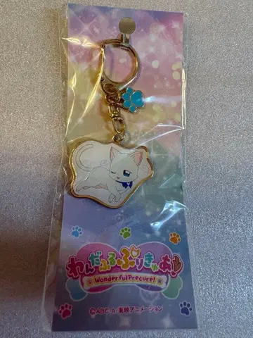 원더풀 프리큐어! 드림 스테이지 메탈 키링 야부시키 유키