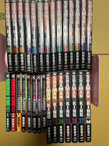 샤먼킹 완전판 세트 외