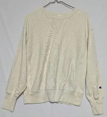 챔피온 리버스 위브 앞 V