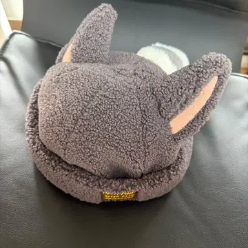 피터팬 너구리뿐!