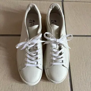 [패트릭] 펀치 워터프루프