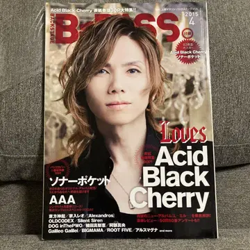BACKSTAGE 2015년 4월호 Acid Black Cherry 특집