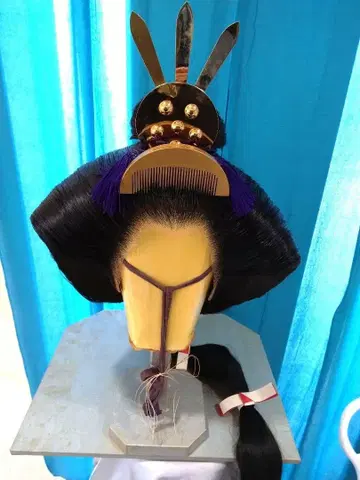 12단용 가발, 무대 의상, 코스튬