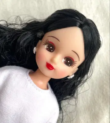 2022년판 일본바시 아이콘 리카짱 No.12784 작은가게