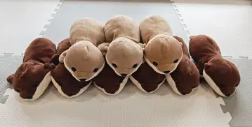 수족관 수달 봉제 인형 복권 9개 세트