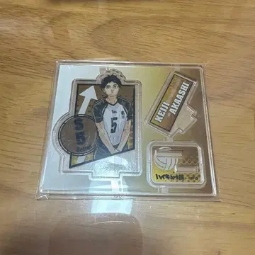 하이큐!! 아크릴 스탠드 아카아시 케이지