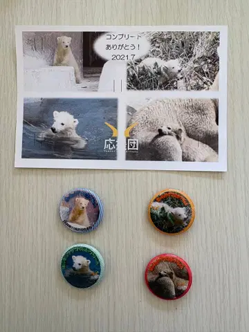 북극곰 호우짱 캔뱃지 세트 텐노지 동물원 2021년