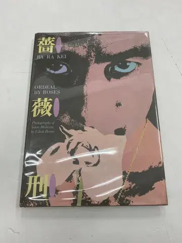 장미형 호소에 에이코 미시마 유키오 BARAKEI