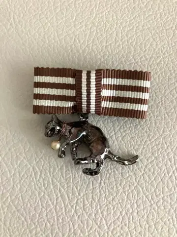 파르나토팍 고양이 브로치