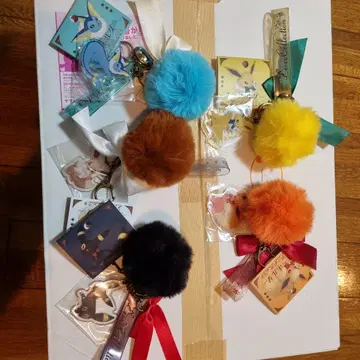 Eevee Collection 키링 5개 세트