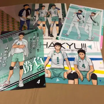 하이큐 아오바죠사이 오이카와 토오루 이와이즈미 하지메 클리어 파일 5종