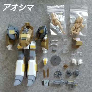 아오시마 가랜드 자치군 컬러