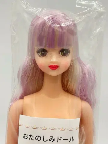 타마키 리카짱 캐슬 오타노시미 인형 화이트 퍼플 계열 제니 프렌드