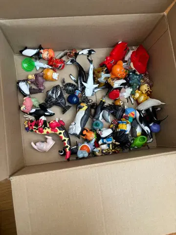 포켓몬 피규어 세트 다수