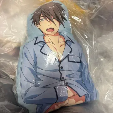 아이돌 마스터 SideM 빅 다이컷 쿠션 니기노 히데오 아침의 한때