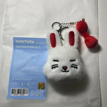 세븐틴 미니틴 에스쿱스 키링