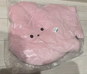 동글동글 눈망울 동물원 퐁신퐁신 빅 토끼