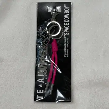 이와타 타카노리 SPACE COWBOY TEAM G 백참