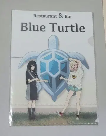 리코리스 리코일 클리어 파일 Blue Turtle