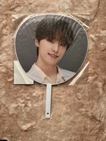 DINO SEVENTEEN HARE 부채