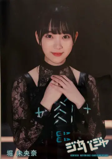 AKB48 [쟈바쟈] Type-E 사카미치AKB 호리 미오나 브로마이드