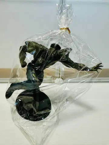 유유백서 암흑무투회 토구로 동생 100% 피규어