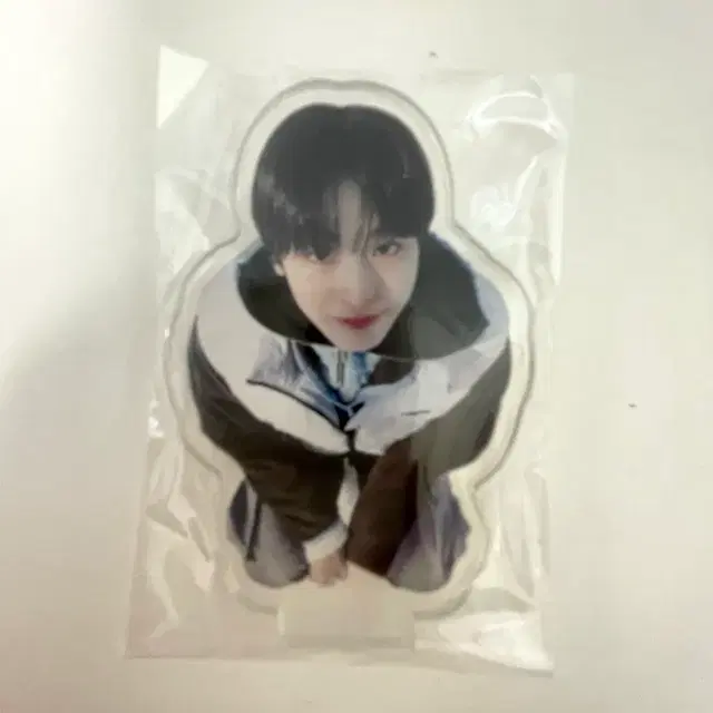 엔시티위시 리쿠 아크릴 스탠드 리쿠 비공굿