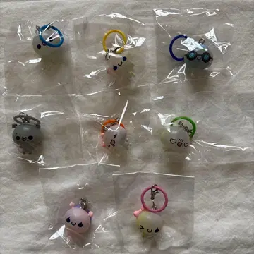 아와와짱 메지루시 액세서리 컴플리트 시플라 한정판