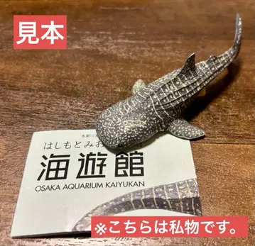 하시모토 미오 조각 해유관 징베 피규어 가챠