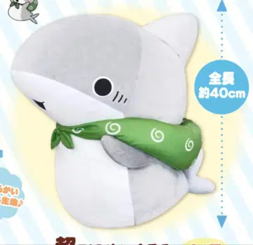 11 외출 아기상어 초 BIG 봉제 인형 ~마샤못치 시리즈~