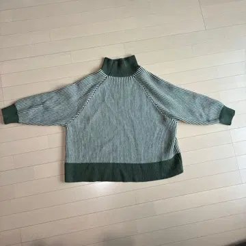 녹색과 흰색 스트라이프 하이넥 니트