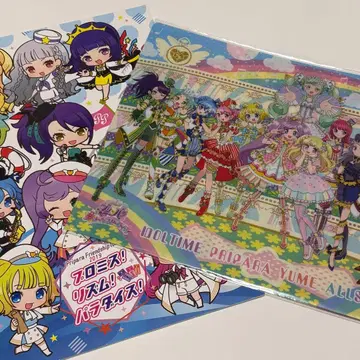 프리파라 팜플렛 클리어 파일