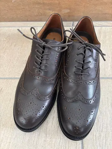 CEDAR CREST 다크 브라운 윙팁 슈즈