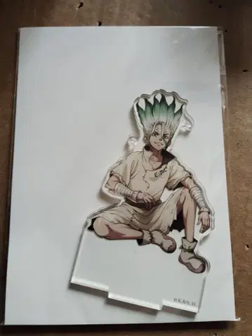 Dr.STONE 이시가미 센쿠 아크릴 스탠드 꽃놀이 닥터스톤