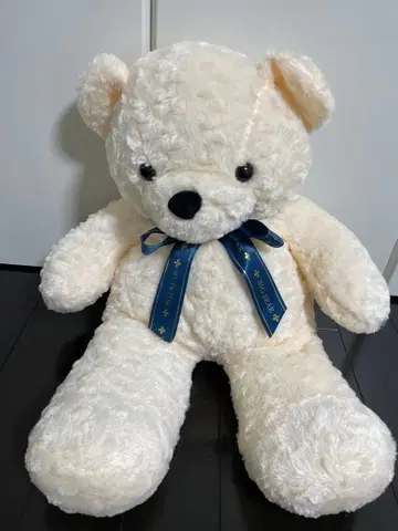 BIG BEAR6 BIG 봉제 인형 곰 크림색 블레이크
