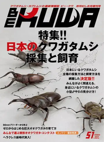 BE-KUWA 비쿠와 No.51 일본 사슴벌레 채집과 사육 무시샤