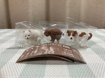 굼틀굼틀 3개 토이 푸들 포메라니안 잭 러셀