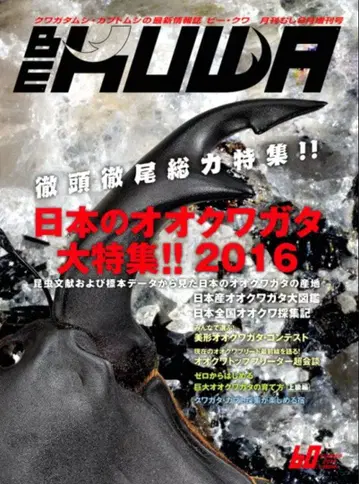 BE-KUWA 비크와 NO.60 일본 오오쿠와가타 대특집!! 2016