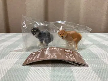 새상품 펀바리~누 펀바리~누 시바견 블랙 시바견